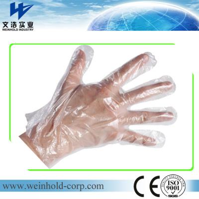 China Disposable PE gloves for sale