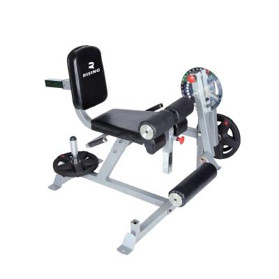 China Strong Adjustable Body Gym Equipment Fitness Leg Curl Extension Machine for sale