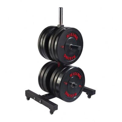 China Modern Gym Equipment Rack Bench Weight Storage Barbell Tree Plate Squat Rack for sale