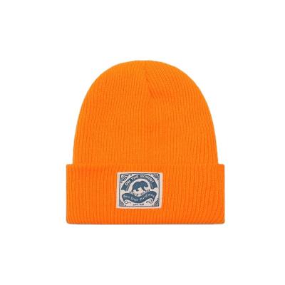 China COMMON High Quality Knit Hat Adults And Youth Winter Hat For Daily Life for sale