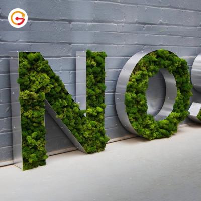 China Manufacturer Customized Custom Indoor Moss Grass Sign Letter Company 3D Artificial Moss Wall Signage from JAGUARSIGN for sale