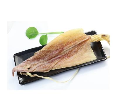 China Nutritious wholesale supplier all types of squid medium seafood delicious dry squid for sale