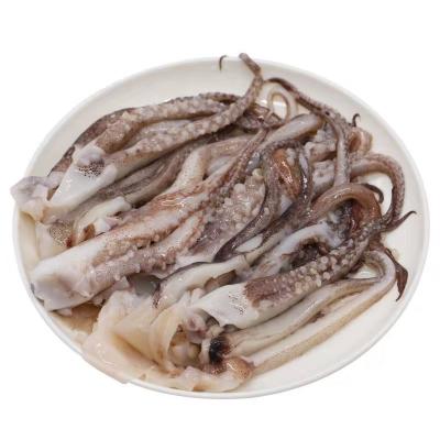 China Nutritious Chinese squid factory exports Seafood frozen squid tentacles of squid for sale