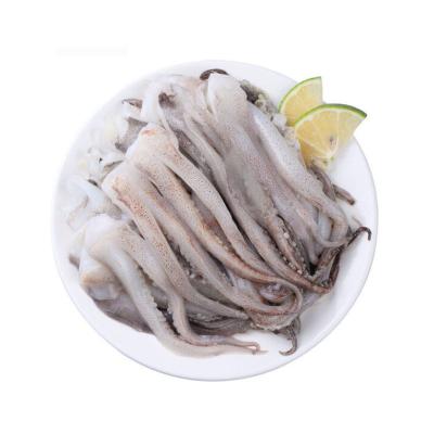 China Nutritious New product selling delicious Seafood frozen tentacles of squid for sale