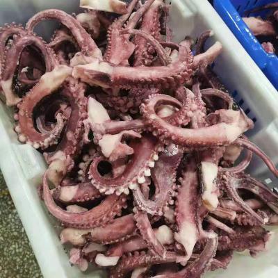 China Nutritious From CN;FUJ Best Product Seller Good Quality Frozen Seafood Squid Tentacles Customizable 10kg Sleeve-fish Bulk Packaging for sale