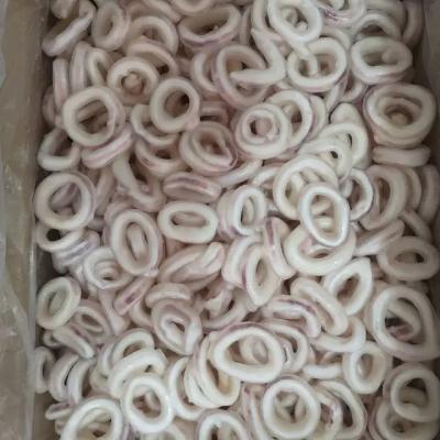 China Nutritious high quality frozen squid ring wholesale frozen squid ring Factory affordable customization for sale