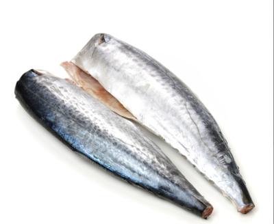 China High Quality Low-CARB Seafood,price factorymackerel frozen mackerel fish frozen mackerel wholesale can be custom weight packing for sale