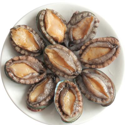 China Wholesale Low-CARB China Factory Goods Sale Seafood Frozen Abalone for sale