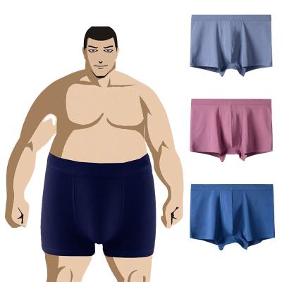 China Big and tall xxxl cotton antibacterial custom boxer shorts for plain men plus size mens underwear for sale