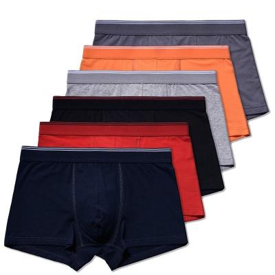 China Antibacterial Wholesale Men's Boxers Short Sexy Panties Underwear Men Cotton Male Boxer Set for sale