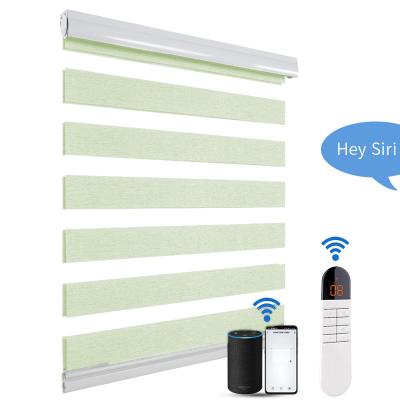 中国 Chain control Window Motorized Zebra Blinds Automatic  Electric Zebra Blinds 販売のため