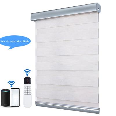 China Xirui  18/28/38mm Double Blackout Motorized Zebra Blinds Customized for sale