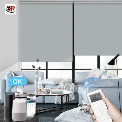 Cina French Window Motorized Roller Blinds Narrow Blade Horizontal Pattern in vendita