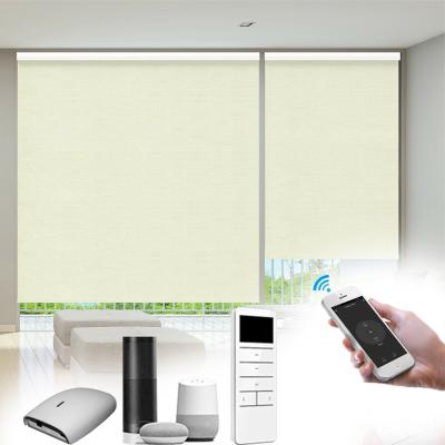 China Plain Automatic Roller Shades Electric Blackout Blinds Chain Control en venta