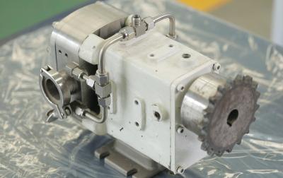 China Medidor de fluxo gêmeo branco do NPT SAE Two Lobe Rotary Pump 2.6m3/H da bomba do lóbulo à venda