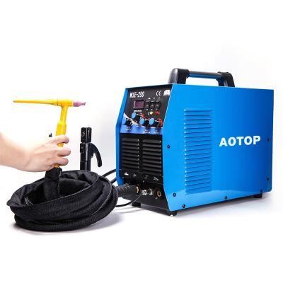 China WSE-250 Hotels AC DC TIG WELDING MACHINE WITH 2T 4T for sale