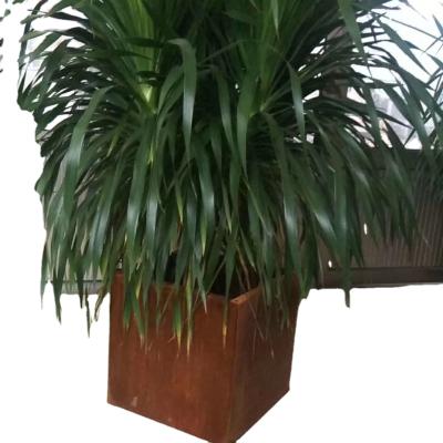 China Chinese Style Corten Metal Steel Flower Pot for sale