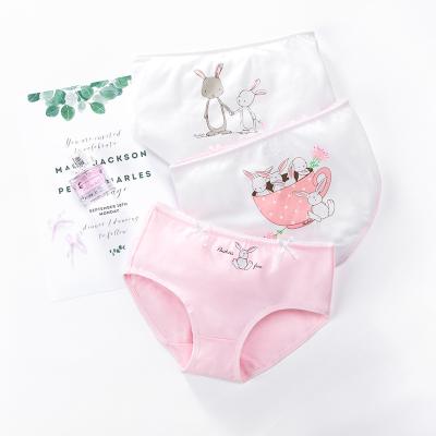 China Breathable Young Girls Custom Underwear 12 Year Old Girl In Panties Kids Underwear for sale