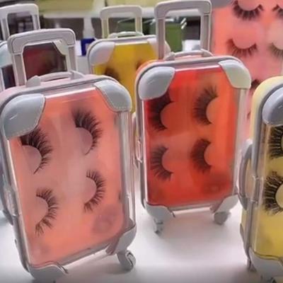 China Hot Very Soft and Light Newly Selling Luggage Suitcase Eyelash Case Mink Lashes Mini Luggage Eyelash Case Mink Eyelash for sale