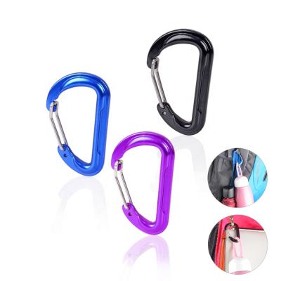 China Eco-friendly Aluminum Alloy Flat Style D Shaped Wire Door Carabiners Key Chain Small Heavy Spring Carabiner Hooks Clip for sale