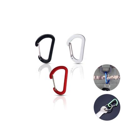 China Eco-friendly Wholesale Assorted Colors D Shape Mini Aluminum Carabiner Key Chain Clip Hook Small Carabiner Key Chain for sale