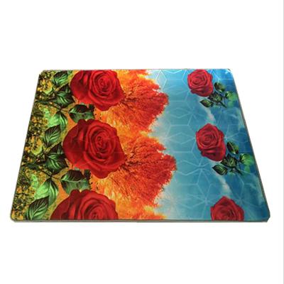 China Anti-slip Hot Sale Home Carpet Living Room Flannel Decorative Carpet for sale