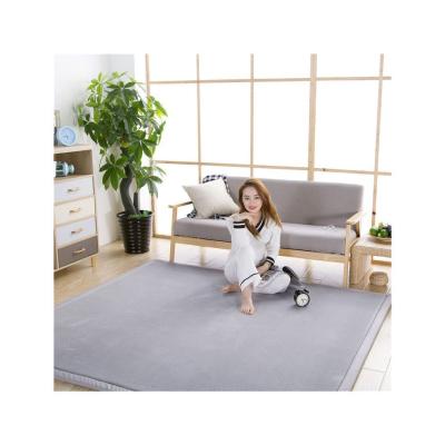 China 100% Polyester Anti-Slip Anti-Slip Lounge Carpet Tatami Covers for sale