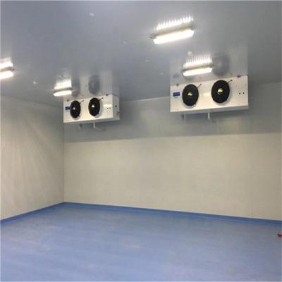 China Container Cold Room Freezer Cooling Room For Sale for sale