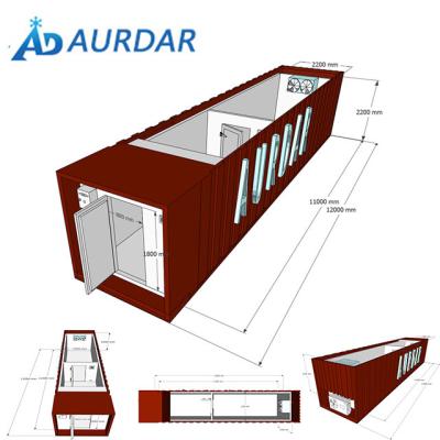 China Factory 4HP 20FT Container Cold Storage Room for sale