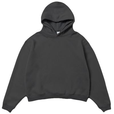 China 2021 Anti-Shrink New Arrive Wholesale Autumn Winter Men's Hoodies and Heavy Sweatshirts Men's Oversized Hoodie for sale