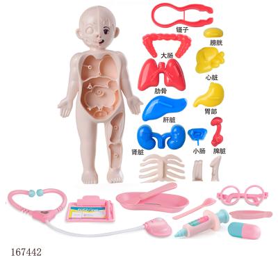 China New Design Doctor Tool Set Toy 2022 Kids Funny Gift Plastic Doctor Kit Set Pretend Play Toy For Children With Human Body Organ DIY Model for sale