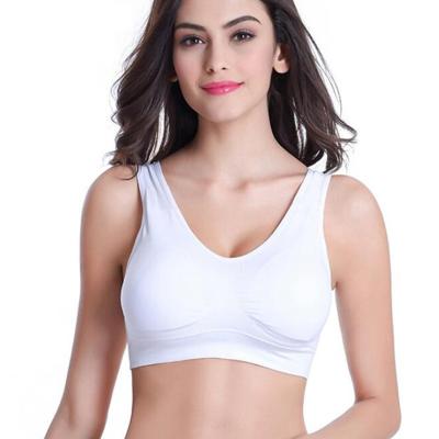 China Breathable Sports Back Shockproof Upper Cross Lift Up Bra Antibacterial Full Cup Workout Bra For Women Gym Yoga Fitness Running Jogging Bra for sale