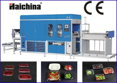 China Frucht-Behälter Plastik-Thermoforming-Maschinenhohe geschwindigkeit mit 220V 50HZ zu verkaufen