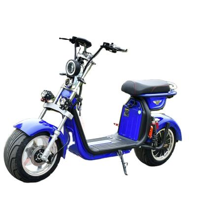 China Electric Balance Car Power 2000W Electric Scooter Citycoco 2 Wheel Unisex Fat Tire For Adult for sale