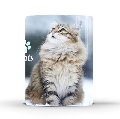 China 2021 New Viable Cute Cat Ceramic Coffee Tea Sublimation Heat Sensitive Mug for sale