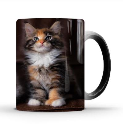 China 2021 New Viable Cute Cat Color Changing Sublimation Ceramic Coffee Mug For Sublimation Printing for sale