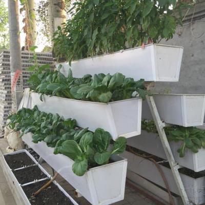 China Easily Assembled Agriculture Greenhouse Hydroponic Three Dimensional Groove Planting PVC Planting Bowl for sale