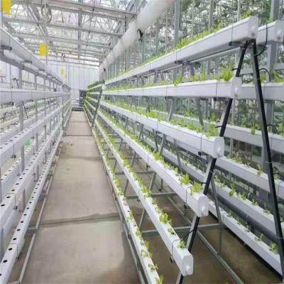 China Factory Supply Direct Hydroponics Greenhouse Easily Assembled Growing System Planting Bowl for sale