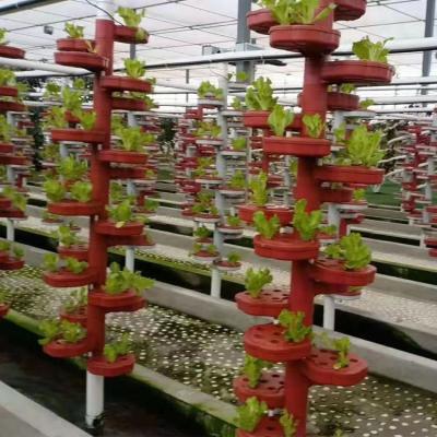 China Easily Assembled Wholesale Vegetable Multi Layer Fruit Hydroponic Growing Shelf Flowers Planting Bowl for sale