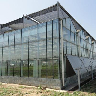 China Commercial Hot Sale Multi-span Glass External Shading System Cheap Greenhouse for sale