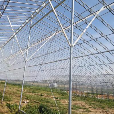 China High Strength Single Span Film Customizable Greenhouse Galvanized Arch Shed Easily Assembled And Economical for sale