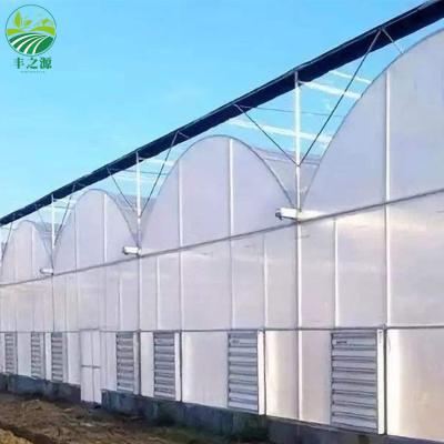 China Easily Assembled And Economical Climate Control Greenhouse Plastic Tunnel Vegetable For Sale for sale