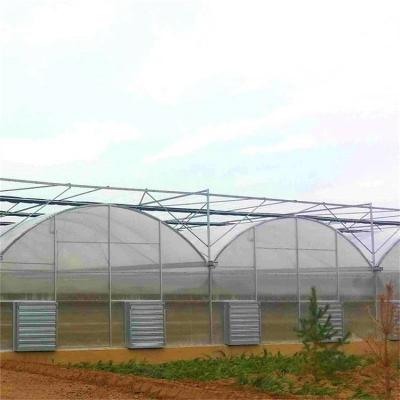 China Easily Assembled And Economical High Sell Hot Low Cost Tunnel Galvanized Steel Frame Aquaponics Greenhouse for sale