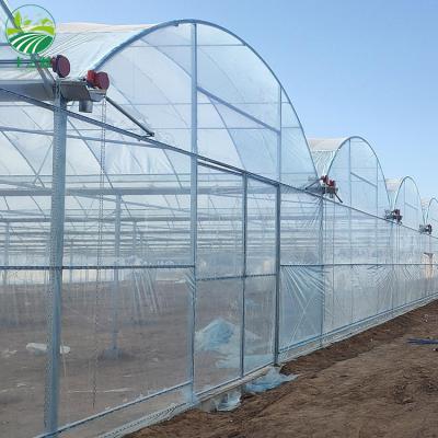 China Factory Wholesale Outdoor Commercial Sunshade Steel Frame Multi Span Greenhouse Easily Assembled And Economical for sale