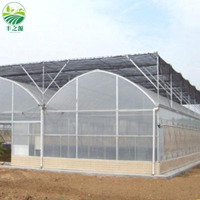 China Easily Assembled And Economical Duct Window Top Tomato Agricultural Greenhouse Construction for sale