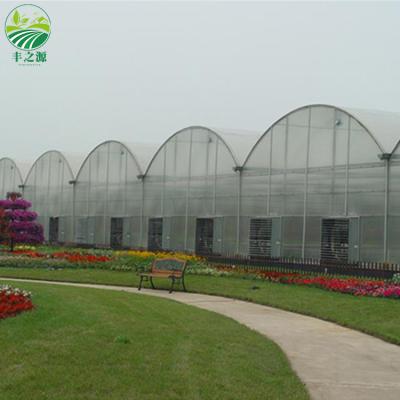 China Easily Assembled And Economical Multi-span Agricultural Greenhouses Steel Frame Hot Dip Galvanized Plastic UV Film for sale