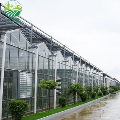 China ECO FRIENDLY Glass Soilless Cultivation Greenhouse Agricultural Hydroponic Greenhouse for sale