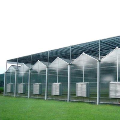 China Manufacturer Price Solar Pc Sheet Greenhouse China Sun Panel Easily Assembled And Economical Greenhouse for sale