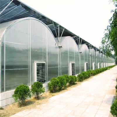 China Easily Assembled And Economic Factory Wholesale Multi-span Sun Panel Greenhouse For Agriculture for sale