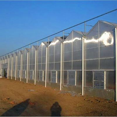 China Easily Assembled And Economical Low Cost Sun Panel Greenhouses Professional Sun Panel Greenhouse for sale